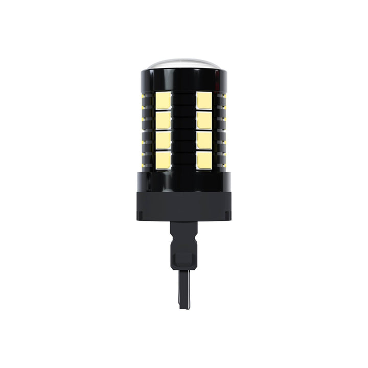 White LED 3156 Polarity Insensitive Bulbs